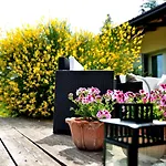 Agriturismo Al Colle * Bertinoro
