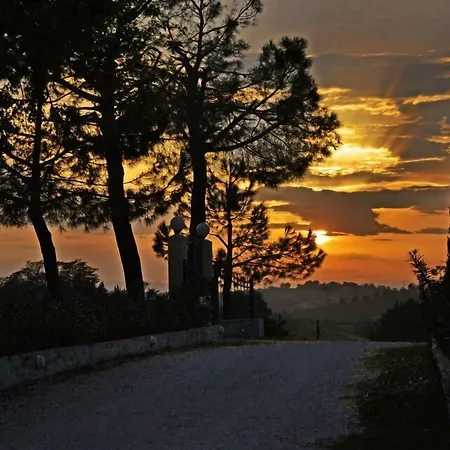 Agriturismo Al Colle Country house