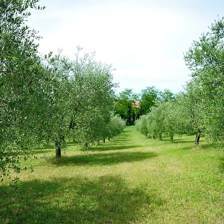 Agriturismo Al Colle