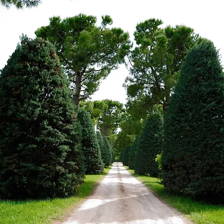 Agriturismo Al Colle * Piegaro (Umbria)