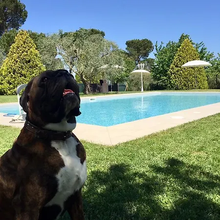 Agriturismo Al Colle Piegaro (Umbria)