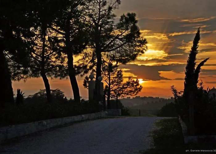 Agriturismo Al Colle Летний дом