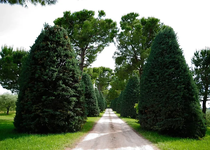 Al Colle * Piegaro (Umbria)