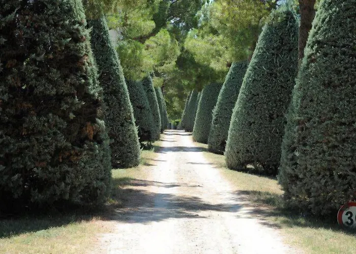 Agriturismo Al Colle * Piegaro (Umbria)