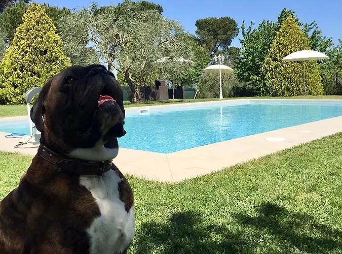 Agriturismo Al Colle Piegaro (Umbria)